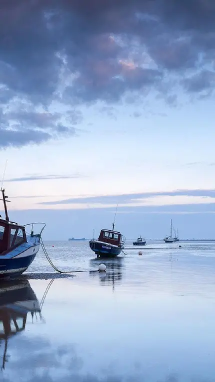 تصویر قایق موتوری های لوکس در ساحل با تم آبی دوست داشتنی
