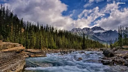 والپیپر رودخانه زیبای کشور کانادا 8K
