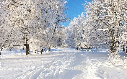 عکس زمستانی زیبا برای پروفایل