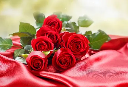 دسته گل رز قرمز شکیل و عاشقانه روی پارچه قرمز براق