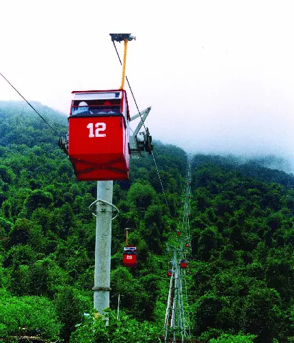 عکس جاده شمال تو ماشین