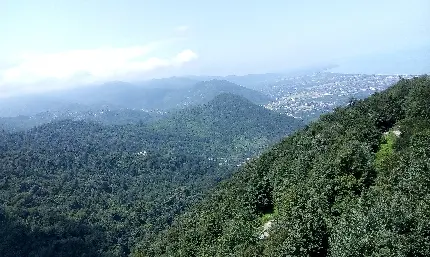 عکس جاده شمال تو ماشین