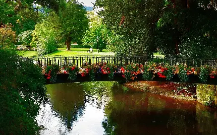 تصویر جذاب پل روی دریاچه در پارک با تزئین گل های بهاری