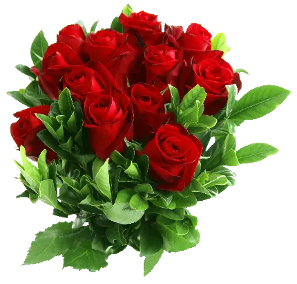 دسته گل رز قرمز PNG فوق العاده خوشگل در یک قاب هنری باکیفیت