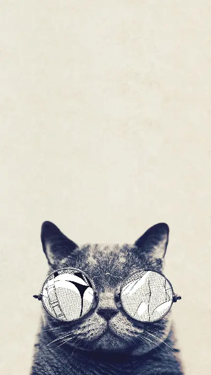 تصویر زمینه گربه برای موبایل با عینک های بامزه و خنده دار