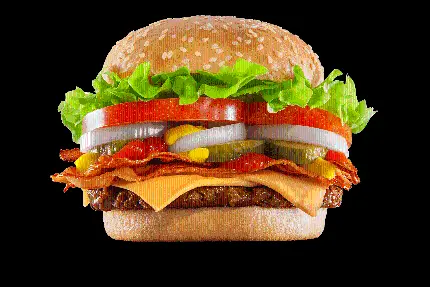 عکس دلپسند همبرگر مخصوص برای تراکت فست فود