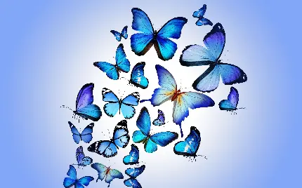 تصویر دست پروانه های آبی با کیفیت بالا 8k