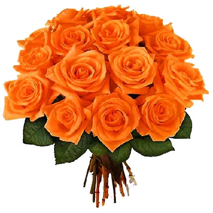 عکس دسته گل رز هلندی نارنجی برای استفاده اینشات