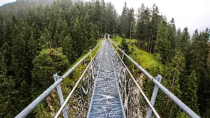 عکس اولترا اچ دی پل زیبا در طبیعت سبز مخصوص Wallpaper 