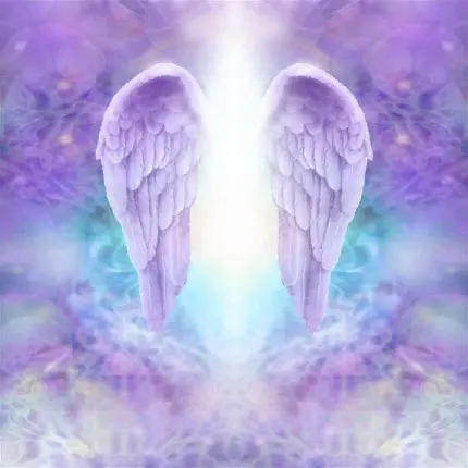 عکس بال فرشته نمایانگر بهشت زیبا خداوند مناسب پروفایل