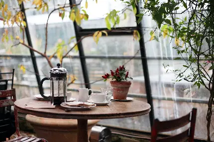 عکس استوک کافه لاکچری در هوای ابری و بارانی با کیفیت خوب