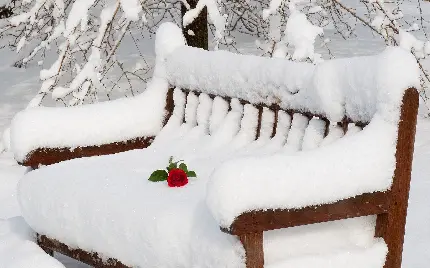 عکس نیمکت چوبی پر از برف زیبای زمستانی برای پروفایل واتساپ
