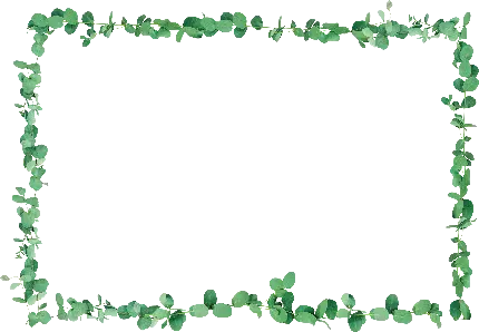 کادر و قاپ عکس برگهای سبز زیتون دوربریده شده برای ادیت عکس و متن 