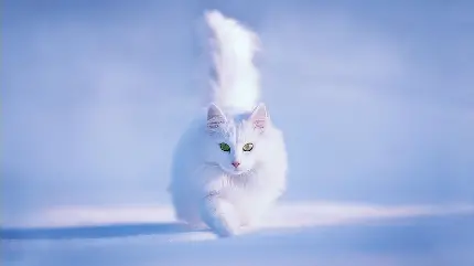 عکس پروفایل گربه سفید و خوشگل دخترانه در فصل زمستان زیبا