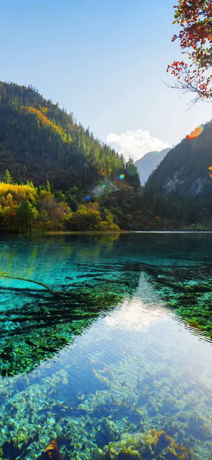 عکس هنری بی نظیر طبیعت دریاچه برای زمینه موبایل