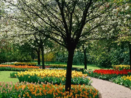 تصویر دلنشین پارک پرگل در فصل بهار مناسب زمینه ویندوز