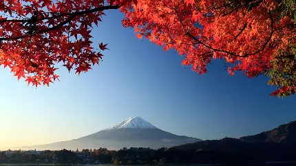 دانلود تصویر زمینه رایگان از طبیعت ژاپن