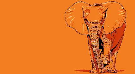 تصویر زمینه بسیار بامزه به نقش فیل نارنجی رنگ