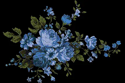بوته گل رز آبی رنگ PNG دوربری شده