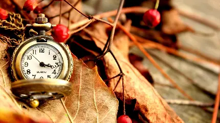ساعت کوارتز قدیمی در آغوش برگ های پاییزی برای پروفایل 1402
