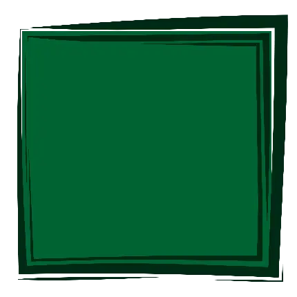 قاپ شیک و سبز رنگ مربع با خطوط مشکی اطراف آن
