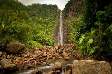 عکس پروفایل جدید آبشار و رودخانه سنگی در جنگل سبز