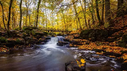 عکس غروب زیبا برای پروفایل