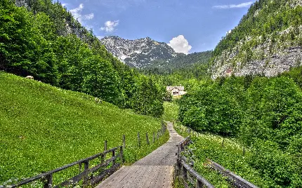 عکس پروفایل 8k منظره زیبای کوهستان سبز با پیاده رو جنگلی