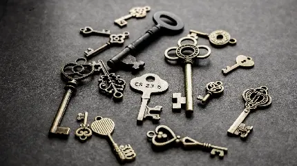 تصویر محبوب انواع کلید نقره‌ ای برای زمینه ویندوز 12