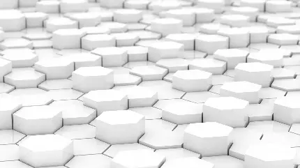 بک گراند سفید کیوت