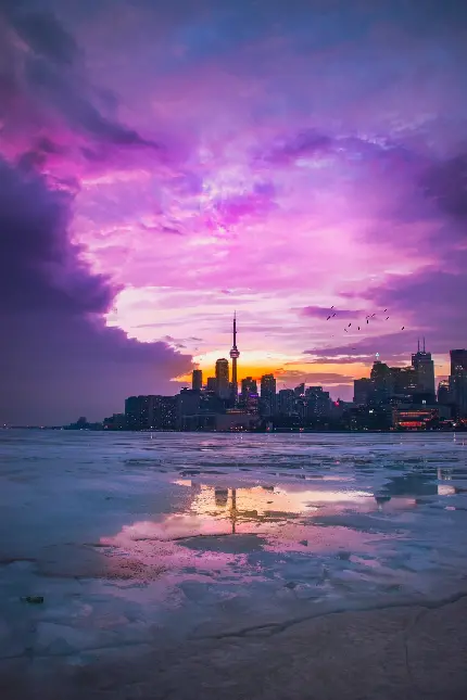 تصویر شهر زیبای تورنتو زیر آسمان بنفش رویایی