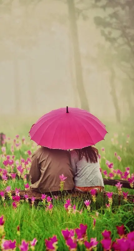 پربازدید ترین استوری عاشقانه زیر باران با چتر صورتی 