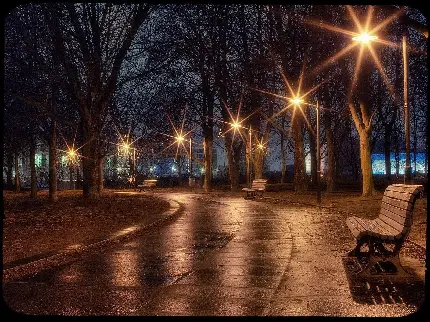 خوشگل والپیپر خیابان تنهایی با چراغ های روشن و نیمکت 