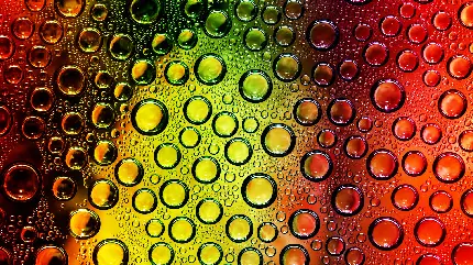 عکس قطرات آب روی شیشه با نور رنگی مخصوص والپیپر