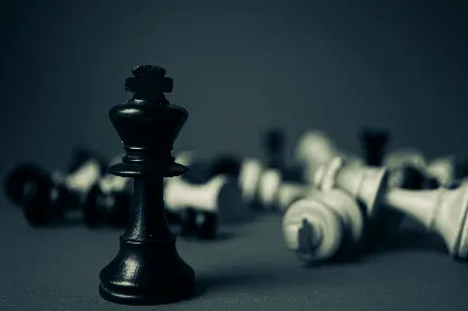 خفن ترین عکس سیاه و سفید موفقیت و پیروزی در بازی شطرنج