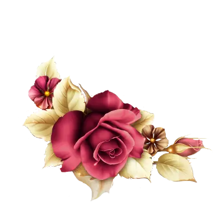 عکس PNG گل رز طلایی و صورتی درخشان برای فتوشاپ
