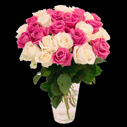  عکس دوربری دسته گل سفید صورتی قشنگ در گلدان