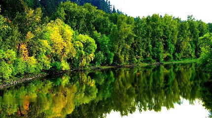 عکس رودخانه زیبا