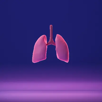 تصویر زمینه ریه انسان مناسب والپیپر پزشک ها و متخصص ها