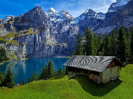 عکس کلبه جنگلی در طبیعت سوئیس