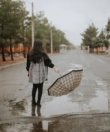 عکس جاده شمال تو ماشین