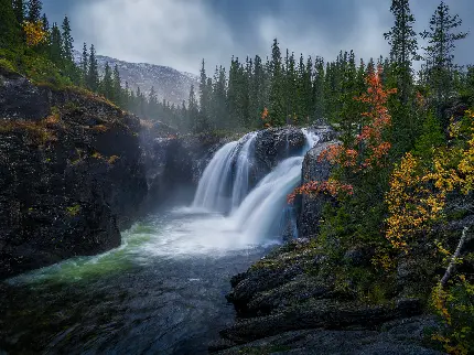 عکس آبشار بلند و رویایی در دل جنگل سر سبز و بیکران