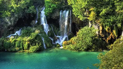 عکس پروفایل جنگل شگفت انگیز با آبشار و رودخانه های زیبا