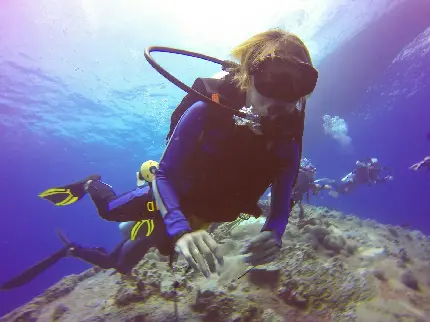 عکس استوک درخشان زن غواص حرفه ای زیر دریای آبی