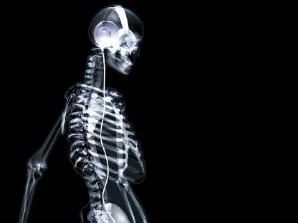 تصویر زمینه HD از رادیولوژی بدن انسان برای کامپیوتر مطب