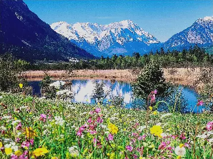 عکس دریاچه و گلهای زیبای بهاری 