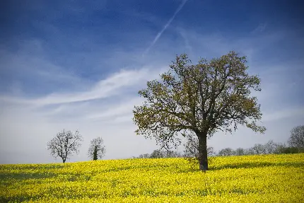 عکس پروفایل غمگین پسرانه شکست عشقی