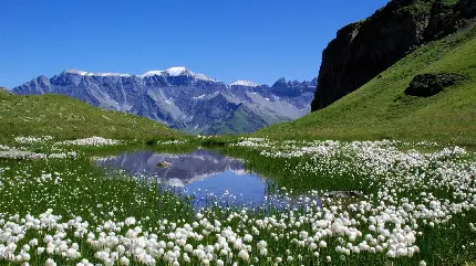 عکس طبیعت بی نظیر سوئیس