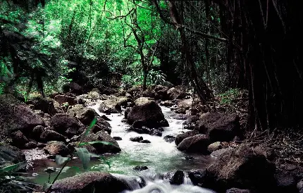 عکس رودخانه زیبا