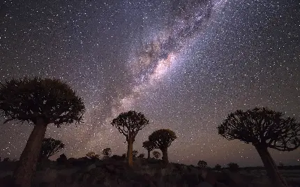 خوشگل ترین بنر از آسمان پرستاره شبانگاهی 4K